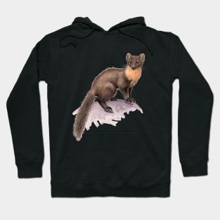 Pine Marten Hoodie